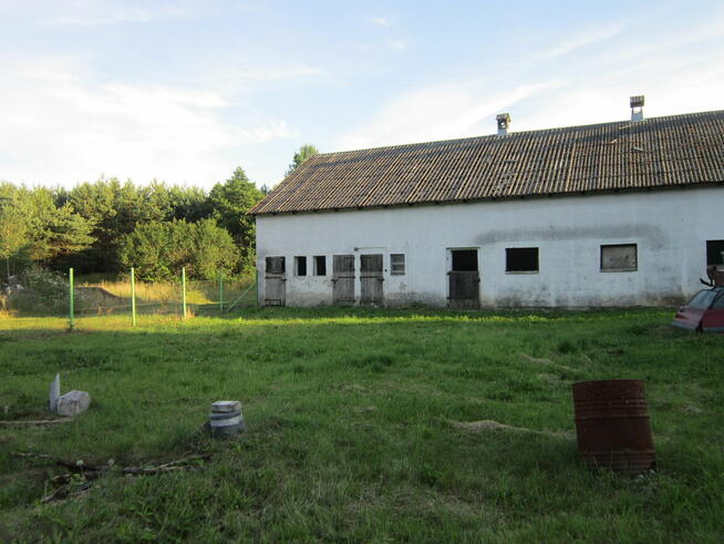 Gospodarstwo firma agroturystyka hodowla{pomorskie} wynajem