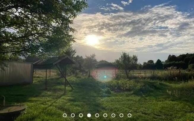 Sprzedam bezpośrednio siedlisko z budynkami gospodarczymi z