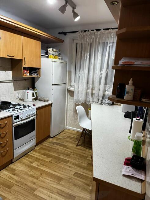 Wynajmie mieszkanie w Rzeszowie - Rejtana