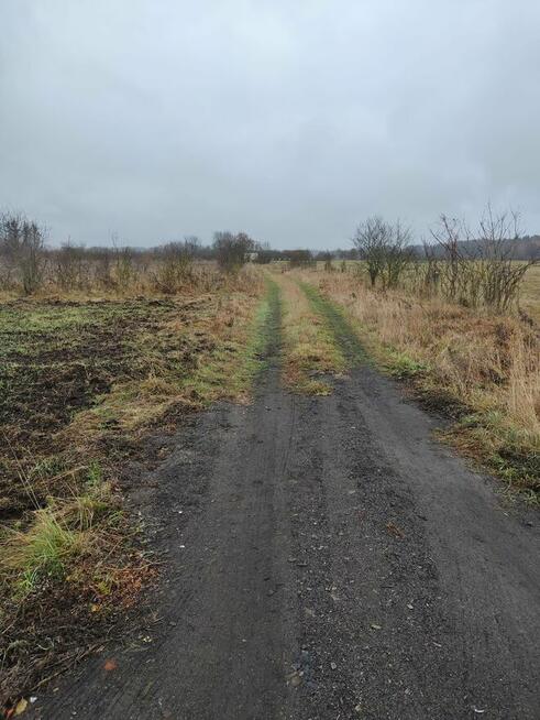 Sprzedam łąki z dostępem do rzeki Narewka