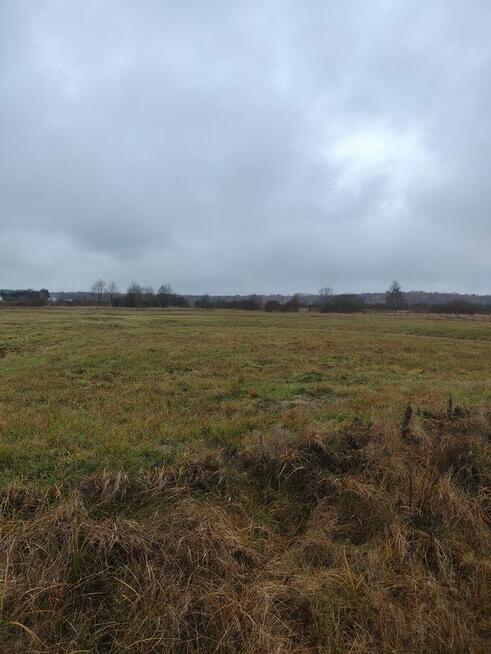 Sprzedam łąki z dostępem do rzeki Narewka