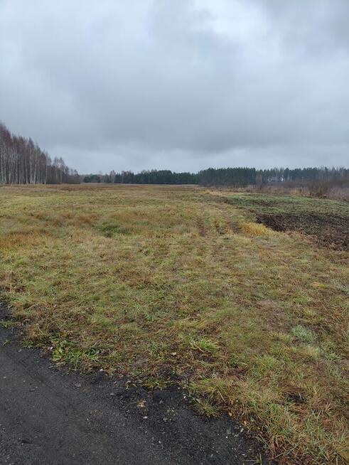 Sprzedam łąki z dostępem do rzeki Narewka