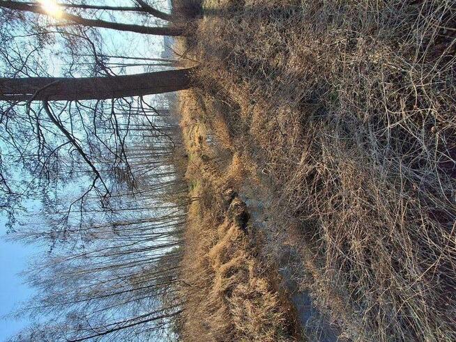 Działka Łowicz / Jastrzębia