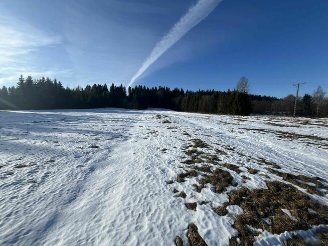 Działka Frydman CENA DO NEGOCJACJI