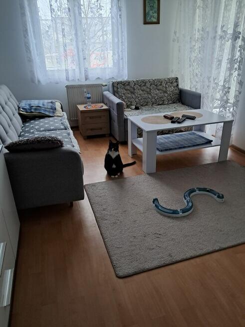 mieszkanie 30,35m/2 ul. Krasińskiego45 Szczecin