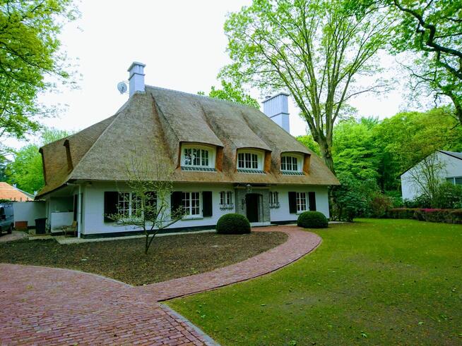 Dzierżoniów ,MALARZ / Malowanie ścian, domów,biur / Usługi ma