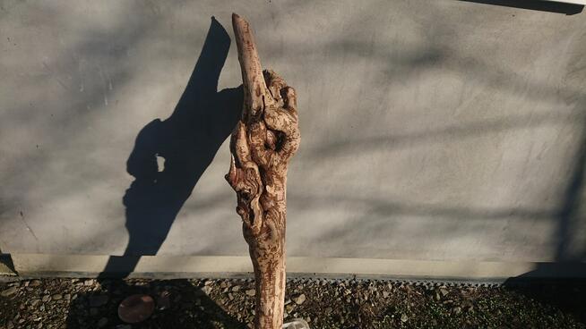 *Wyjątkowy Konar Rzeźba, Unikatowe Dzieło, Suuper Ozdoba &^^