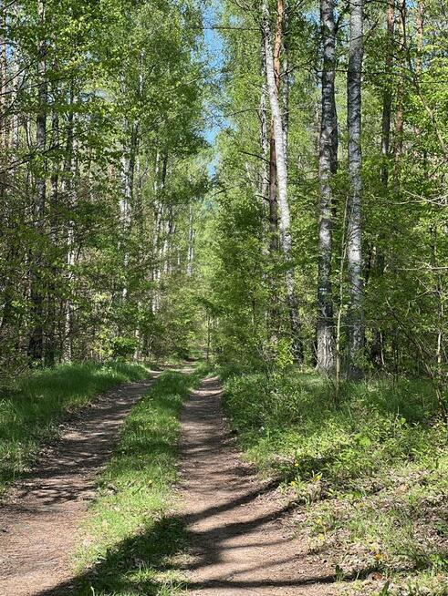 Mazury-JERUTKI..Domek...Jez.Marksoby 150m