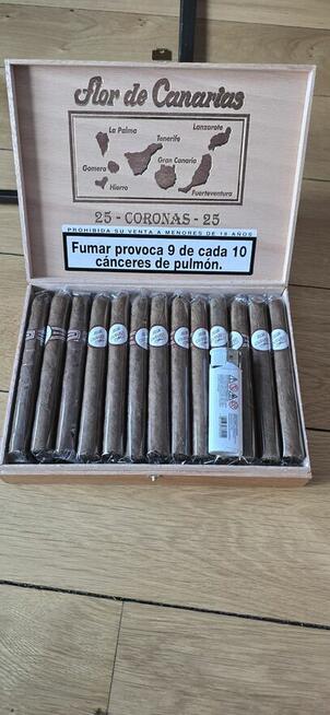 Kanaryjskie Cygara Flor Canaria Fumar Mata - 25 sztuk