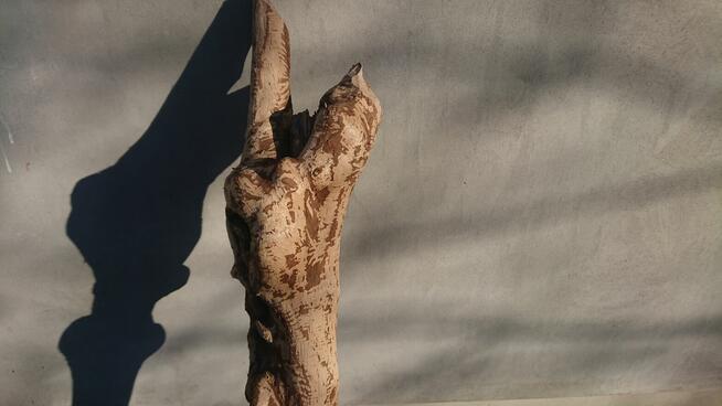 *Wyjątkowy Konar Rzeźba, Unikatowe Dzieło, Suuper Ozdoba &^^