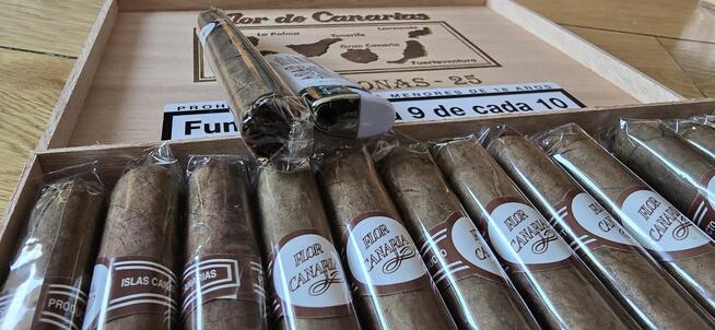 Kanaryjskie Cygara Flor Canaria Fumar Mata - 25 sztuk