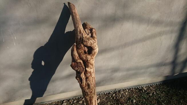 *Wyjątkowy Konar Rzeźba, Unikatowe Dzieło, Suuper Ozdoba &^^