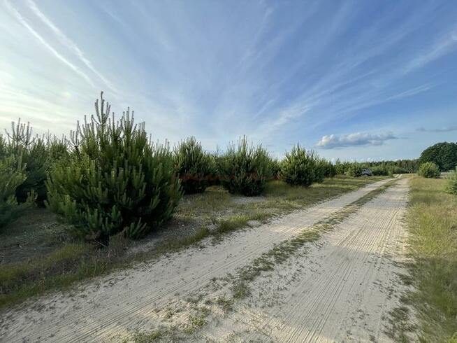 Działka budowlana Karczewko gm. Kiszkowo, Karczewko