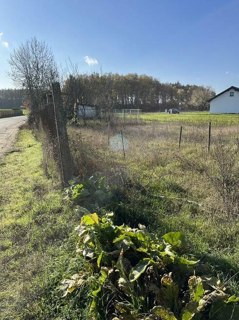 Działka budowlana Jankowo Dolne gm. Gniezno, Wierzbiczany