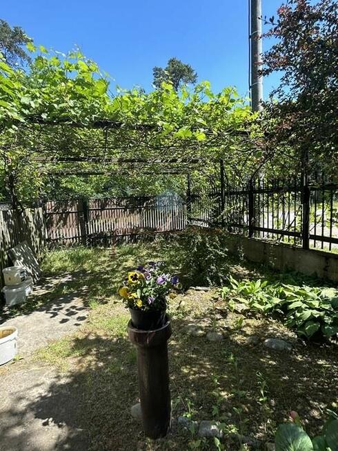 Dom Cielimowo gm. Niechanowo Cielimowo, Sosnowa