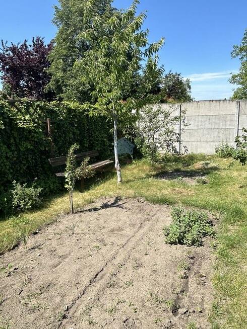 Dom Cielimowo gm. Niechanowo Cielimowo, Sosnowa