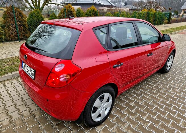 Kia Ceed 1.6 Benzyna Niski Przebieg 1 Właściciel Bezwypadkowa