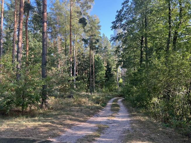 Mazury-JERUTKI **.Wygodny domek. 150 m jezioro i 50m las