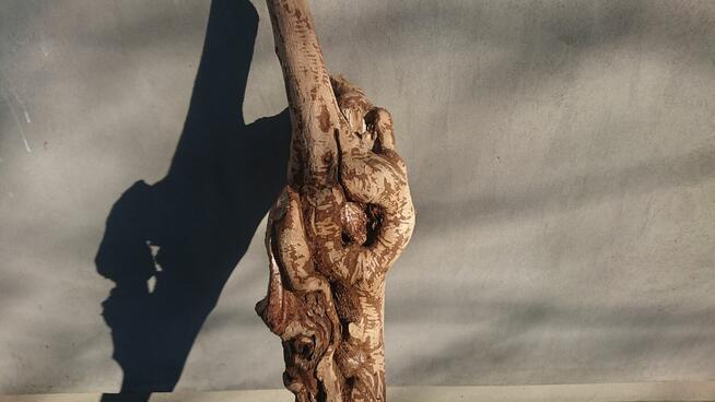 *Wyjątkowy Konar Rzeźba, Unikatowe Dzieło, Suuper Ozdoba &^^