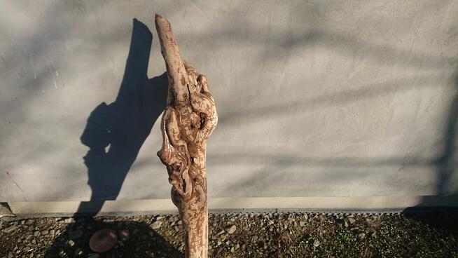 *Wyjątkowy Konar Rzeźba, Unikatowe Dzieło, Suuper Ozdoba &^^