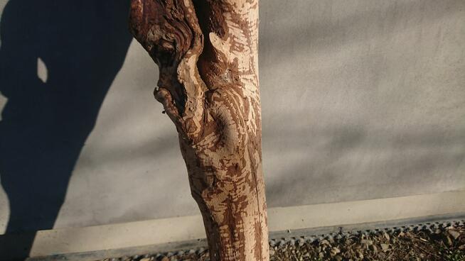 *Wyjątkowy Konar Rzeźba, Unikatowe Dzieło, Suuper Ozdoba &^^