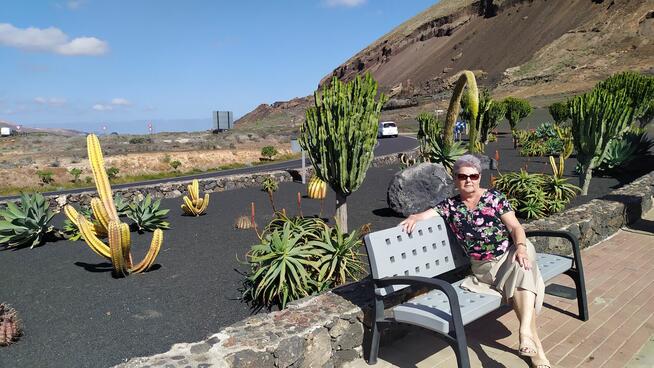 Szukam bratniej duszy