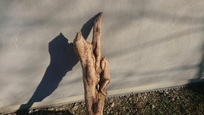 *Wyjątkowy Konar Rzeźba, Unikatowe Dzieło, Suuper Ozdoba &^^