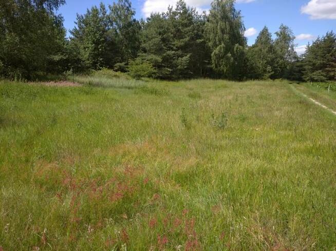 Sprzedam działkę rolną z wydaną decyzją o warunkach zabudowy