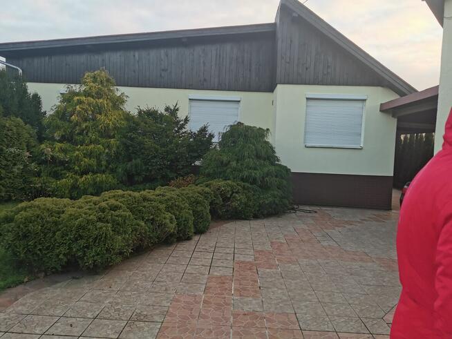 Nietuzinkowa posiadłość dwa domy , duży ogród , taras