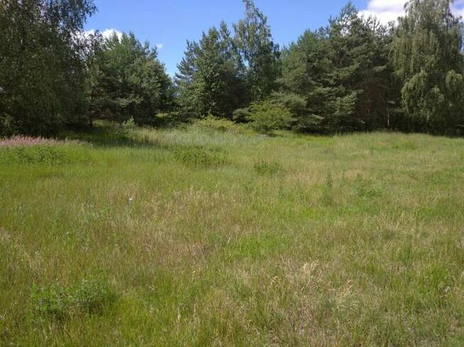 Sprzedam działkę rolną z wydaną decyzją o warunkach zabudowy