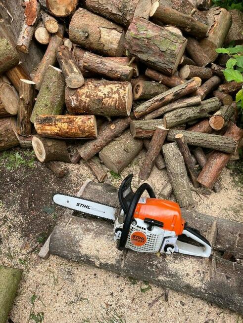 Wycinka drzew, czyszczenie działek