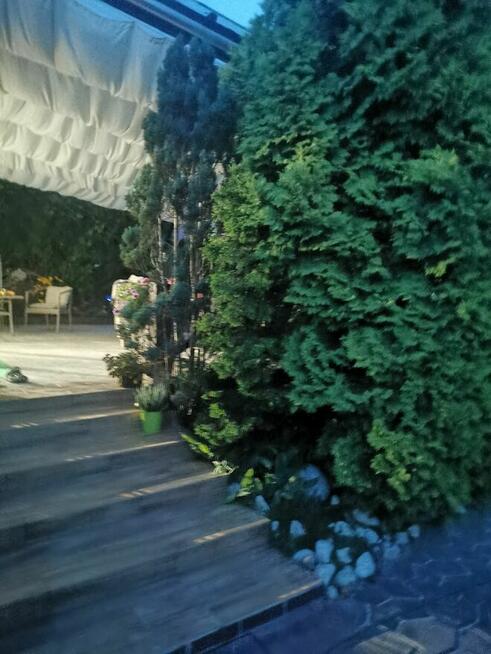 Nietuzinkowa posiadłość dwa domy , duży ogród , taras