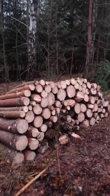 Wycinka drzew, czyszczenie działek