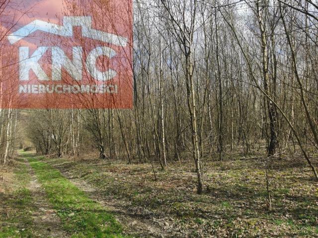 Działka rekreacyjna 22a- Iwonicz-Zdrój