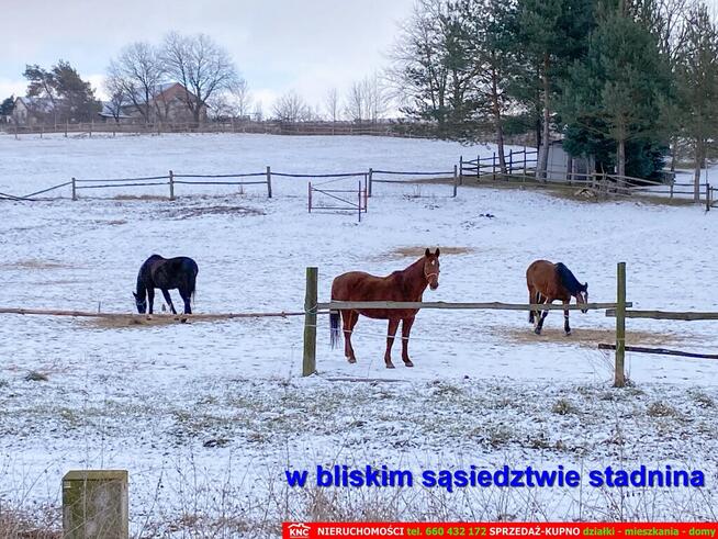 Siedlisko na wsi 35 km od Lublina.