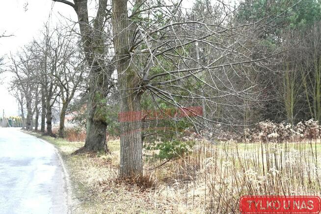 SZCZEDRZYK/Bardzo duża budowlana 1,02 hektara