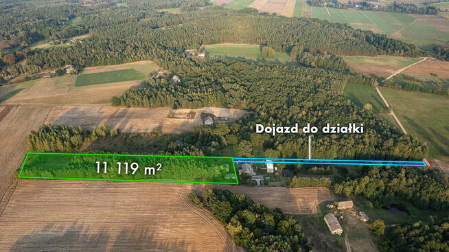 Działka z lasem | Sprzedaż | 1,11 ha | Trzcianka