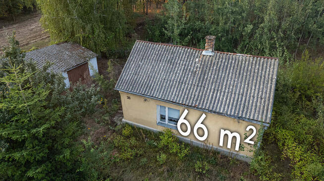 Działka z lasem | Sprzedaż | 1,11 ha | Trzcianka