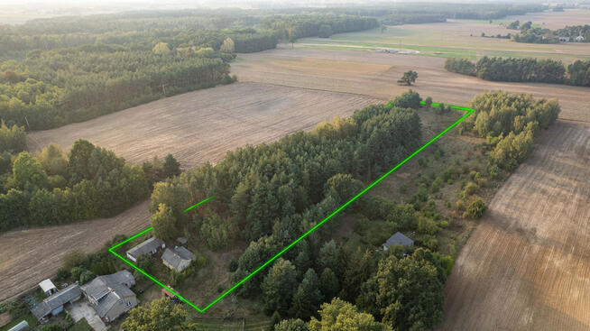 Działka z lasem | Sprzedaż | 1,11 ha | Trzcianka