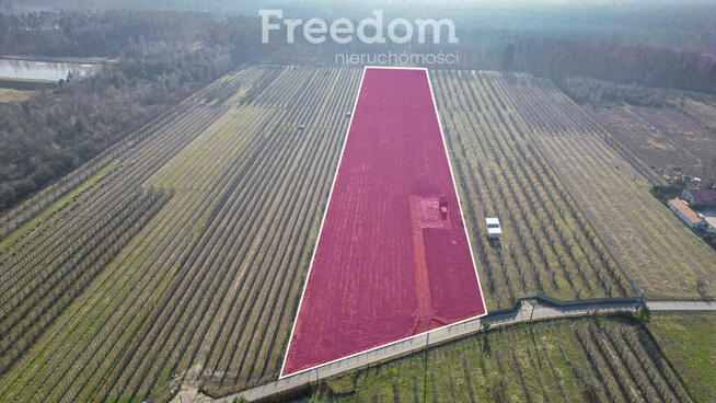 Działka rolna 2,25 ha - Marianka koło Tarczyna