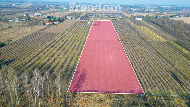 Działka rolna 2,25 ha - Marianka koło Tarczyna