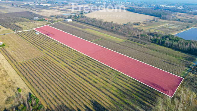Działka rolna 2,25 ha - Marianka koło Tarczyna