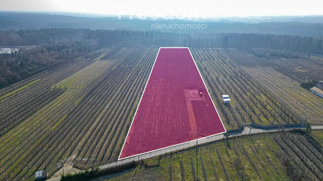 Działka rolna 2,25 ha - Marianka koło Tarczyna