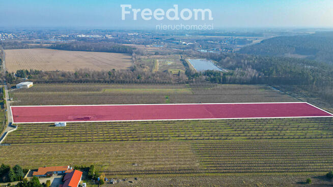 Działka rolna 2,25 ha - Marianka koło Tarczyna