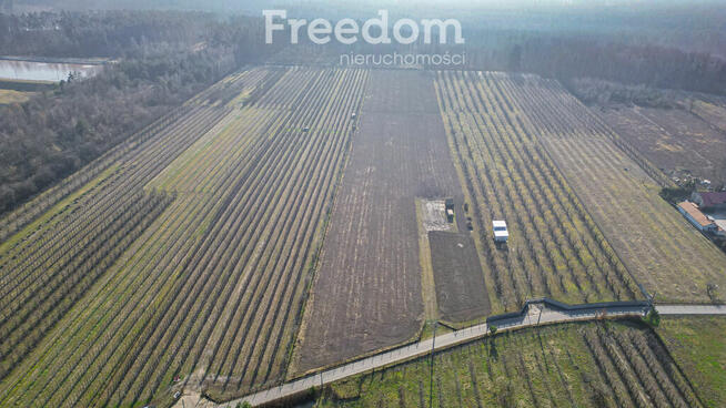 Działka rolna 2,25 ha - Marianka koło Tarczyna