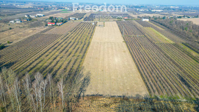Działka rolna 2,25 ha - Marianka koło Tarczyna