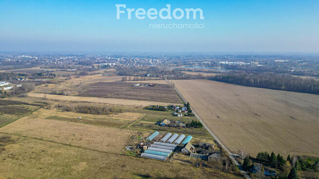 Działka rolna 2,25 ha - Marianka koło Tarczyna