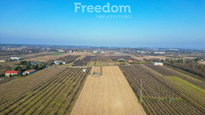 Działka rolna 2,25 ha - Marianka koło Tarczyna