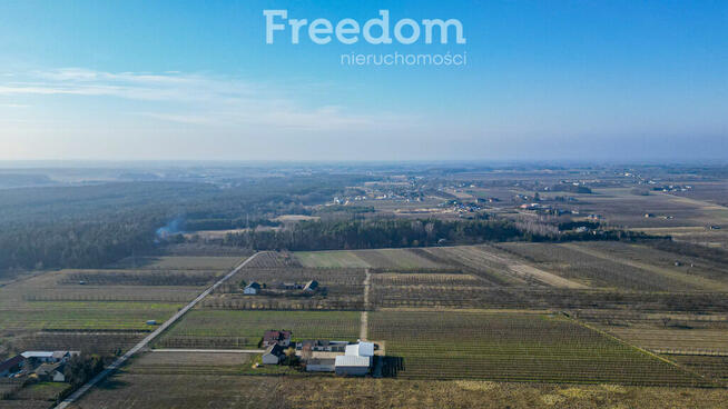 Działka rolna 2,25 ha - Marianka koło Tarczyna