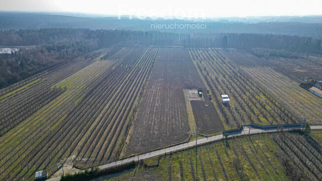 Działka rolna 2,25 ha - Marianka koło Tarczyna